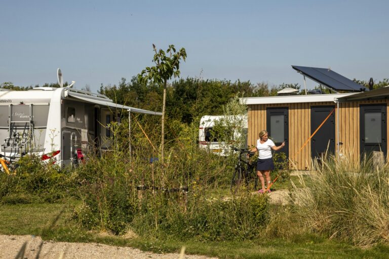 Ardoer Camping Zonneweelde - Bild 15