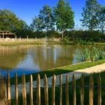 Ardoer Vakantiepark 't Rheezerwold - Bild 12