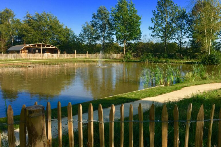 Ardoer Vakantiepark 't Rheezerwold - Bild 12