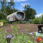 Ardoer Vakantiepark 't Rheezerwold - Bild 3