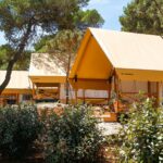 Arena One 99 Glamping - Bild 3