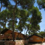 Arena One 99 Glamping - Bild 5