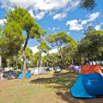 Arena Stoja Campsite - Bild 6