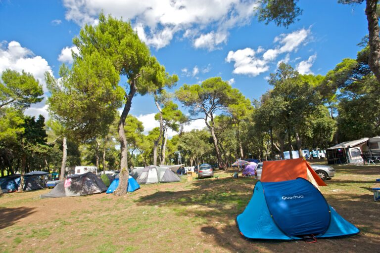 Arena Stoja Campsite - Bild 6