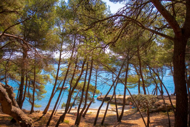 Arena Tašalera Campsite - Bild 15