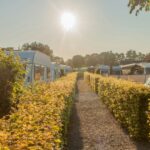 Asaa Camping & Hytteferie - Bild 4