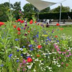 Asaa Camping & Hytteferie - Bild 8