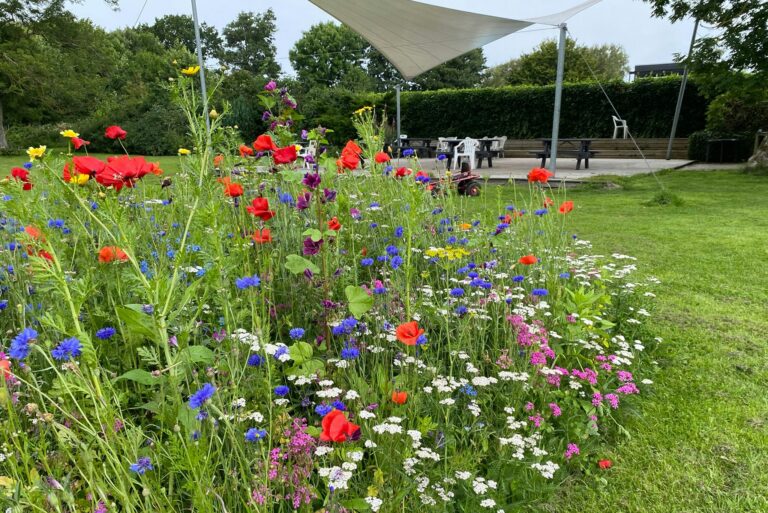 Asaa Camping & Hytteferie - Bild 8