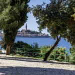 Porton Nature Hideouts - Bild 1