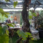 Aux Lodges Du Mas De Nadal - Bild 11 Aux Lodges Du Mas De Nadal - Bild 11