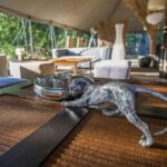 Aux Lodges Du Mas De Nadal - Bild 8 Aux Lodges Du Mas De Nadal - Bild 8