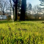 Azur Camping Regensburg - Bild 17 Azur Camping Regensburg - Bild 17