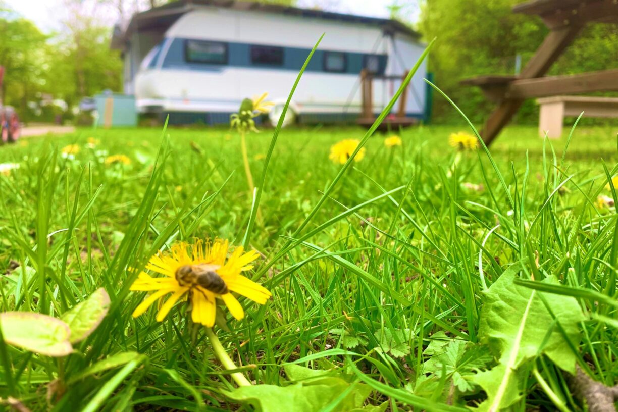 Azur Camping Regensburg - Bild 19 Azur Camping Regensburg - Bild 19