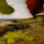 Azur Camping Wertheim - Bild 15 Azur Camping Wertheim - Bild 15