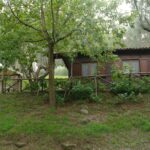 Azzurro Camping Village - Bild 4 Azzurro Camping Village - Bild 4