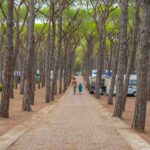 Baia Holiday Baia Blu La Tortuga - Bild 17