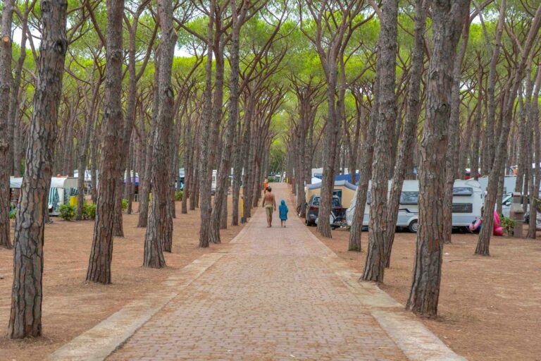 Baia Holiday Baia Blu La Tortuga - Bild 17