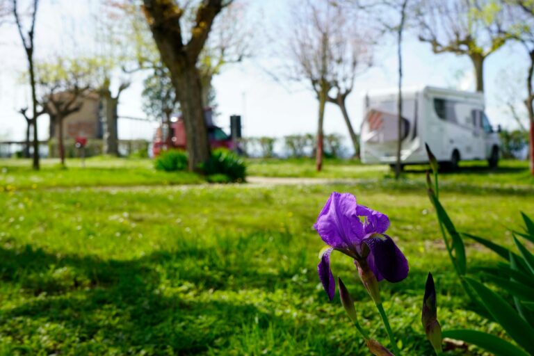 Baia Holiday Gasparina - Bild 20