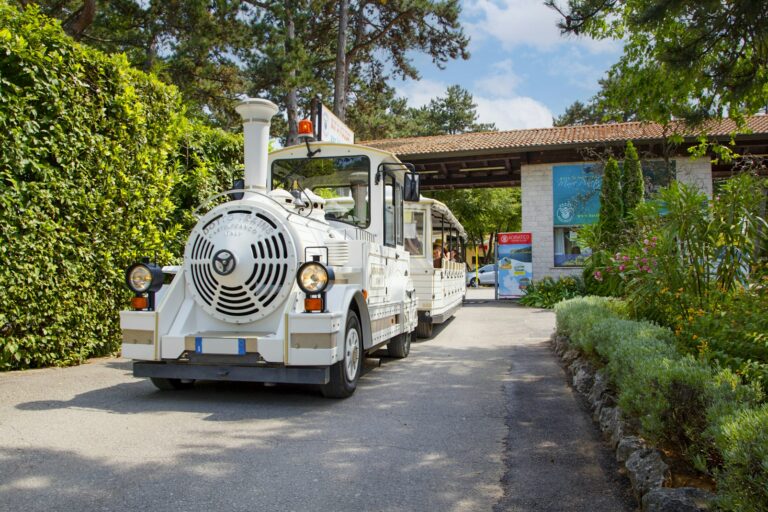 Baia Holiday Mare Pineta - Bild 18