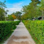 Baia Holiday Mare Pineta - Bild 7