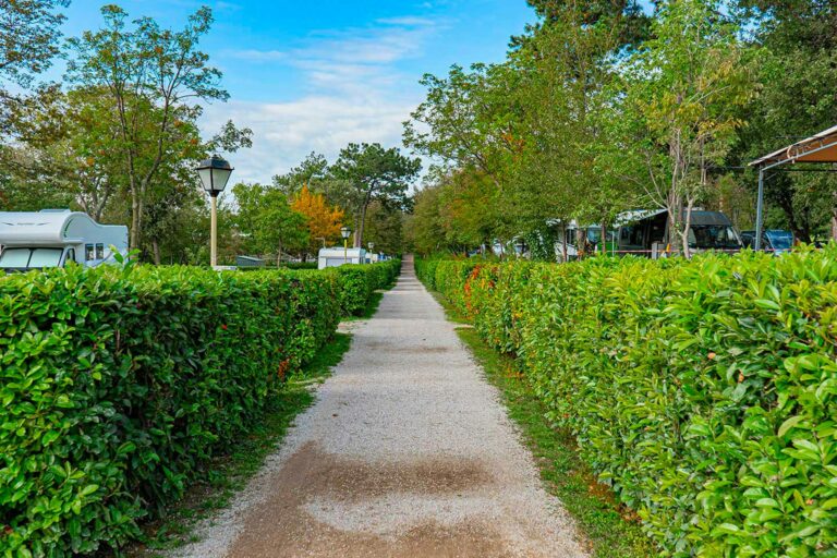 Baia Holiday Mare Pineta - Bild 7