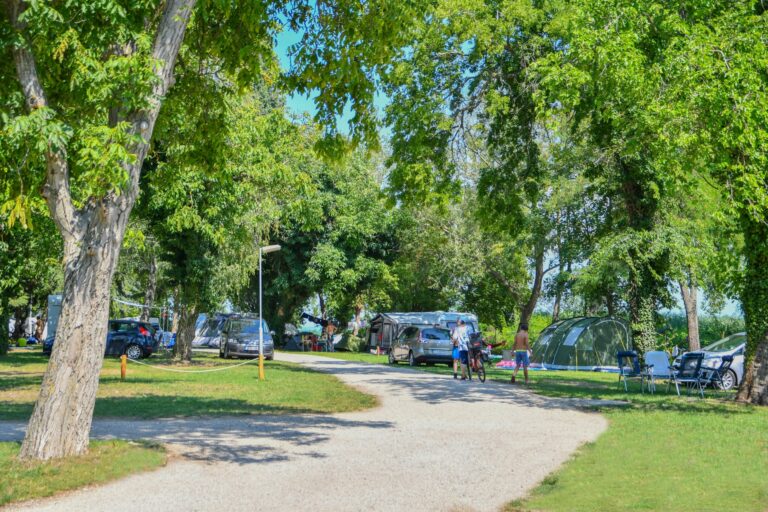 Balatontourist Camping Napfény - Bild 6