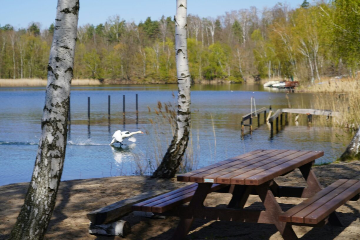 Bergwitzsee Resort - Bild 3 Bergwitzsee Resort - Bild 3