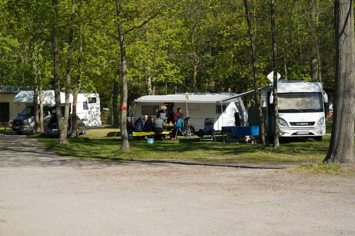 Bergwitzsee Resort - Bild 6 Bergwitzsee Resort - Bild 6