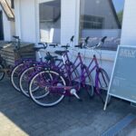 Blokhus Natur Camping - Bild 10