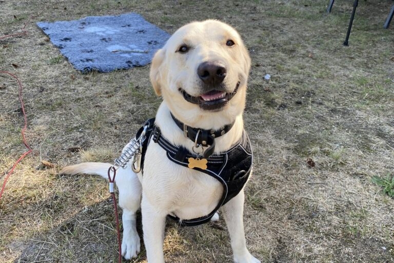 Blokhus Natur Camping - Bild 12