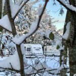 Blokhus Natur Camping - Bild 13