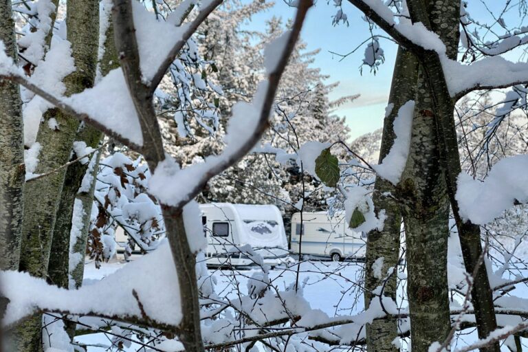 Blokhus Natur Camping - Bild 13