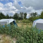Blokhus Natur Camping - Bild 5