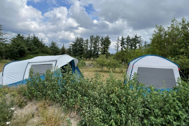 Blokhus Natur Camping - Bild 5