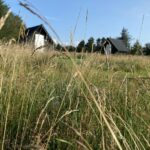 Blokhus Natur Camping - Bild 8