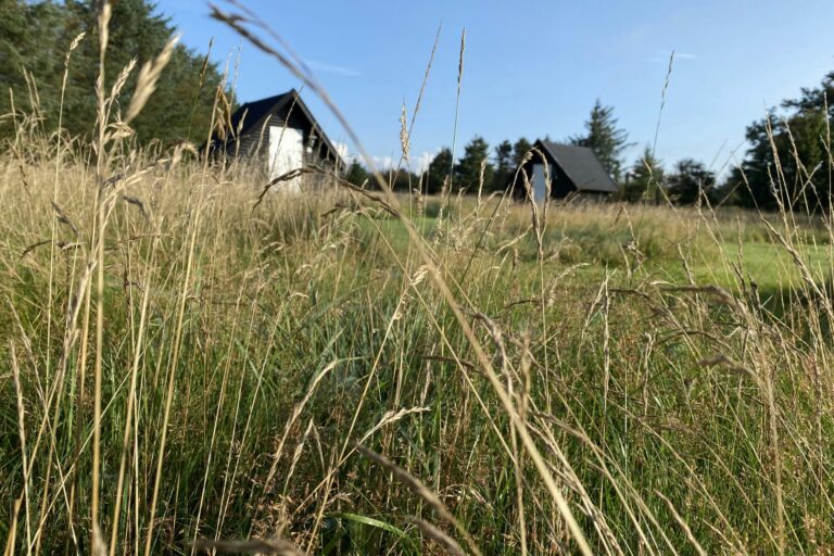 Blokhus Natur Camping - Bild 8