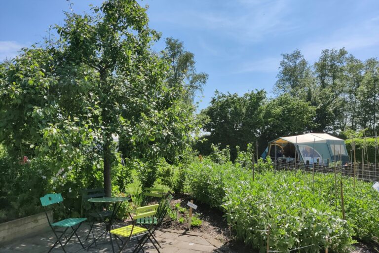 Boetiekpark De Kas - Bild 11