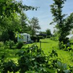 Boetiekpark De Kas - Bild 8