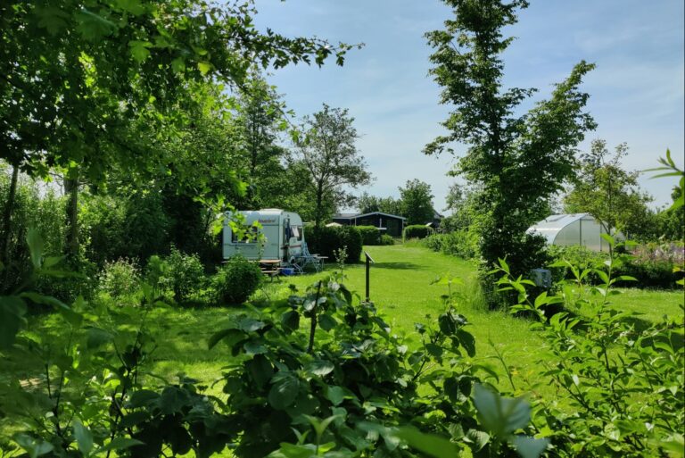 Boetiekpark De Kas - Bild 8