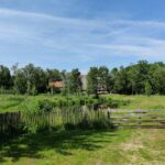 Boetiekpark De Kas - Bild 9