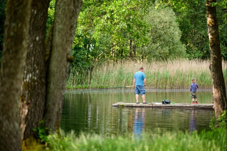 Borås Camping - Bild 2