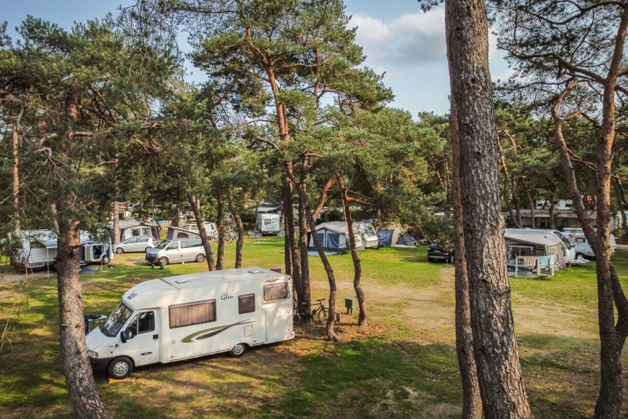 Bos Park Bilthoven - Bild 10 Bos Park Bilthoven - Bild 10