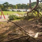 Bos Park Bilthoven - Bild 11 Bos Park Bilthoven - Bild 11