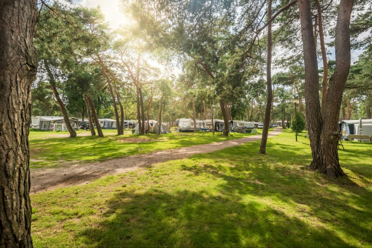 Bos Park Bilthoven - Bild 6 Bos Park Bilthoven - Bild 6