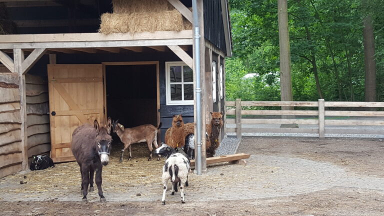 Boscamping Appelscha - Bild 10