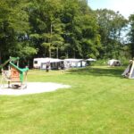 Boscamping Appelscha - Bild 5