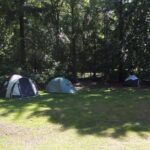 Boscamping Appelscha - Bild 6