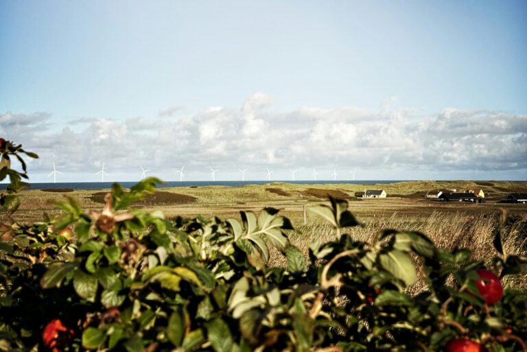 Bovbjerg Camping - Bild 12