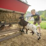 Bungalowpark Het Bosmeer - Bild 6