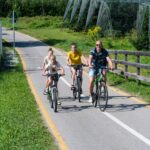 Caldonazzo Family Collection - Bild 11